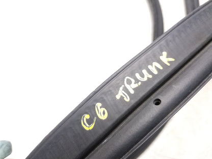 2011 - 2020 Dodge Grand Caravan Trunk Seal Weatherstrip OEM