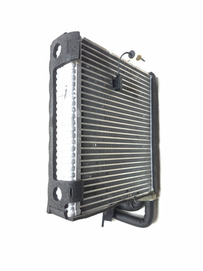 2017 Ford Focus AC Evaporator OEM