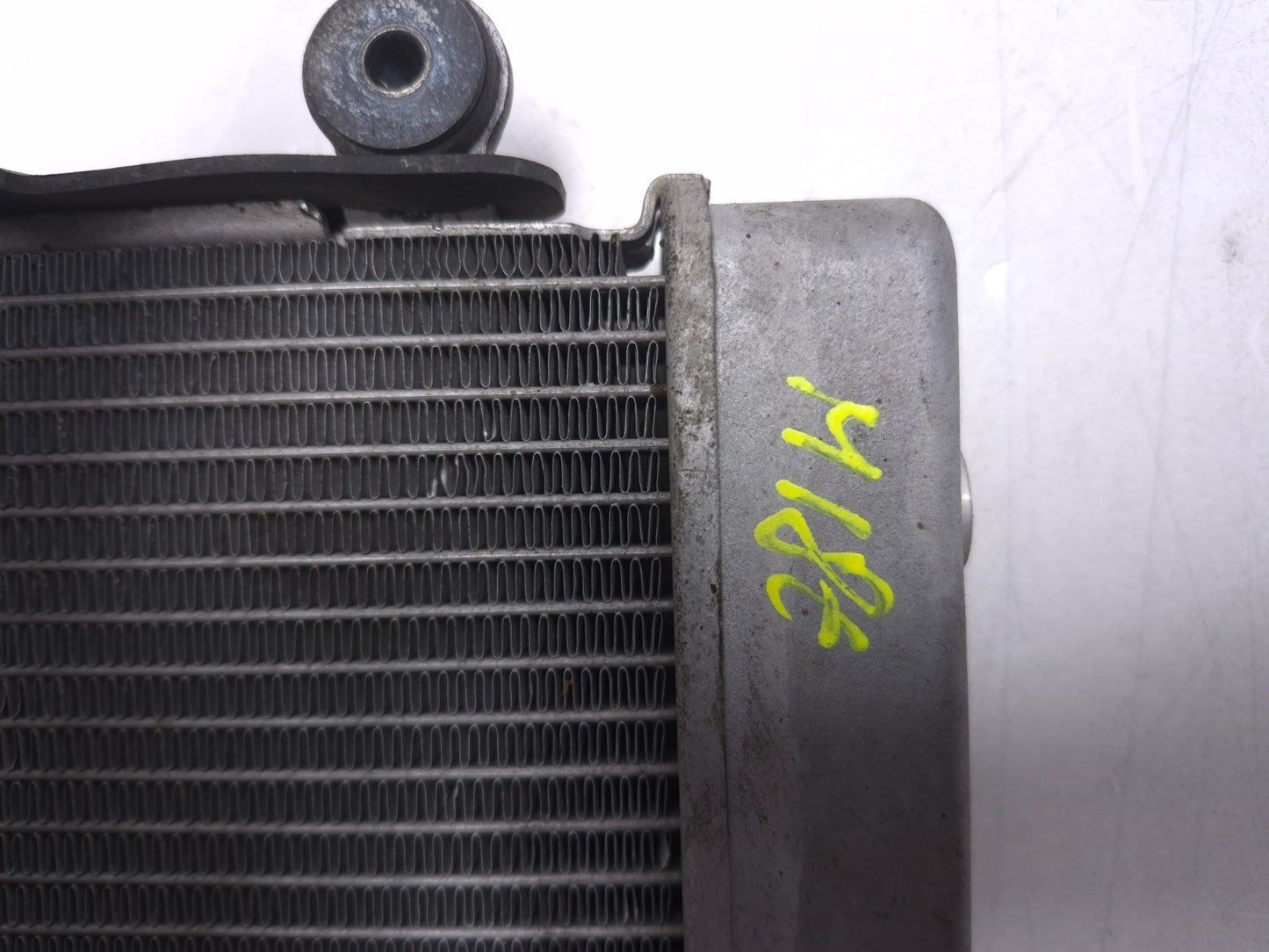 2020 Honda Cb300r Cbf300na Radiator OEM