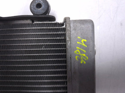 2020 Honda Cb300r Cbf300na Radiator OEM
