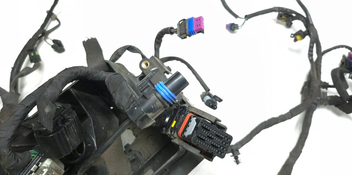2012-2017 Harley Dyna Street Bob Fxdb Main Wiring Wire Harness Loom OEM