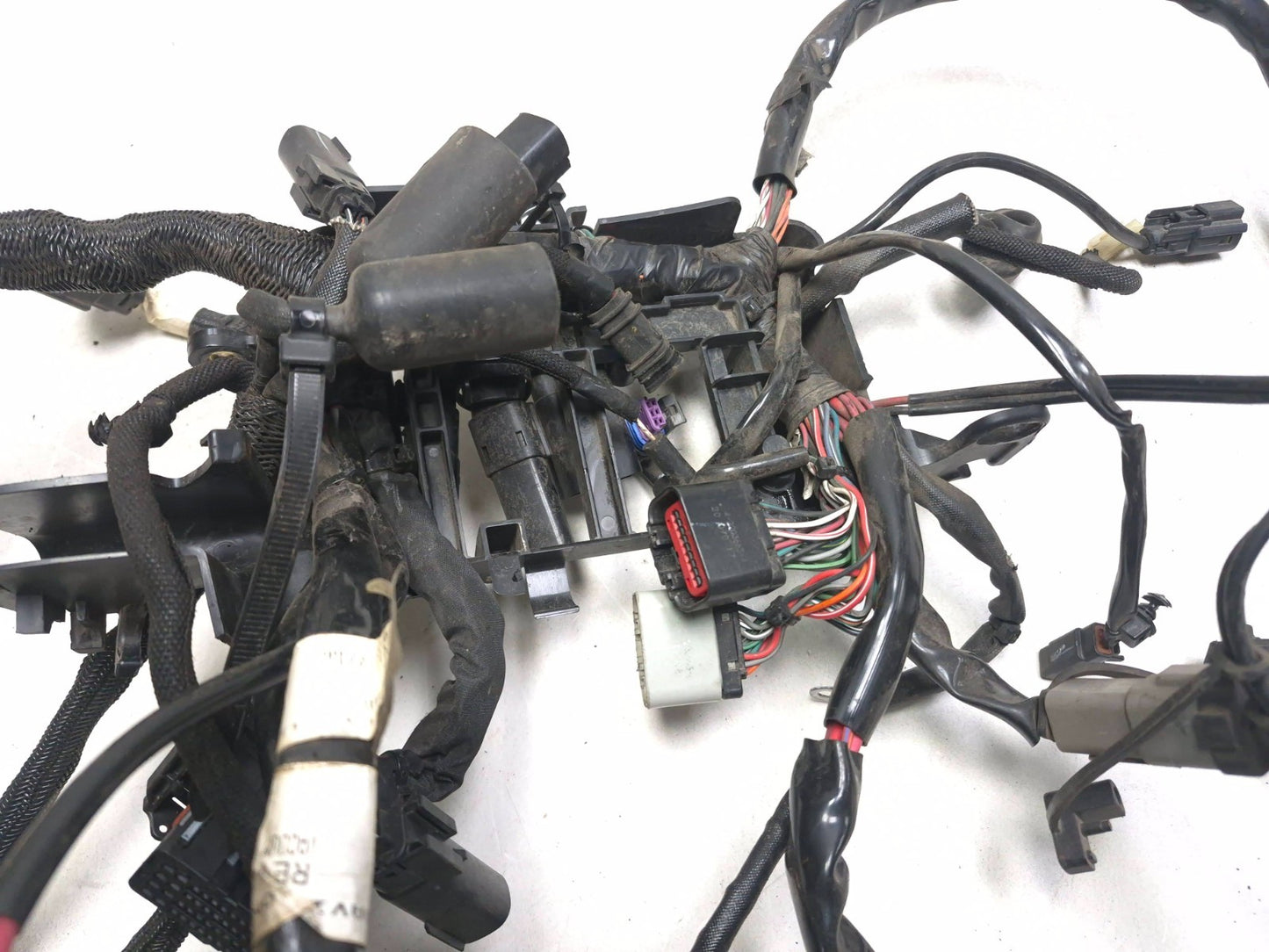 2021 Harley-davidson Sportster Xl1883 ABS Main Wire Wiring Harness OEM