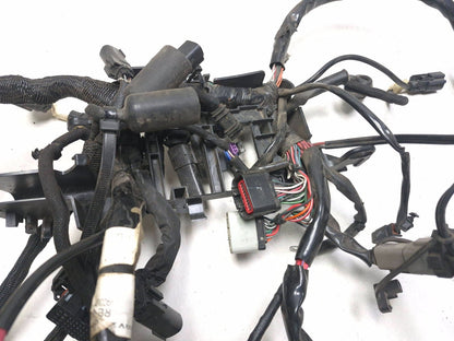 2021 Harley-davidson Sportster Xl1883 ABS Main Wire Wiring Harness OEM