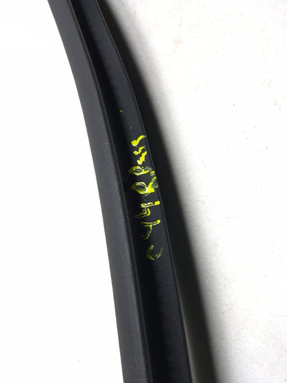 2019 Ford Ecosport Door Weatherstrip Rear Passenger Side Right OEM