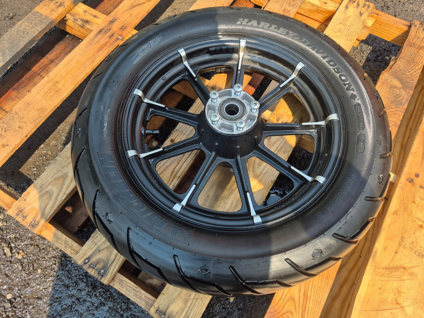 2021 Harley-davidson Sportster Xl1883 Rear Wheel Rim & Tire OEM