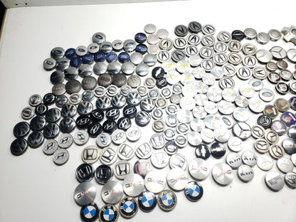 Wheel Center Hub Cap 246pcs
