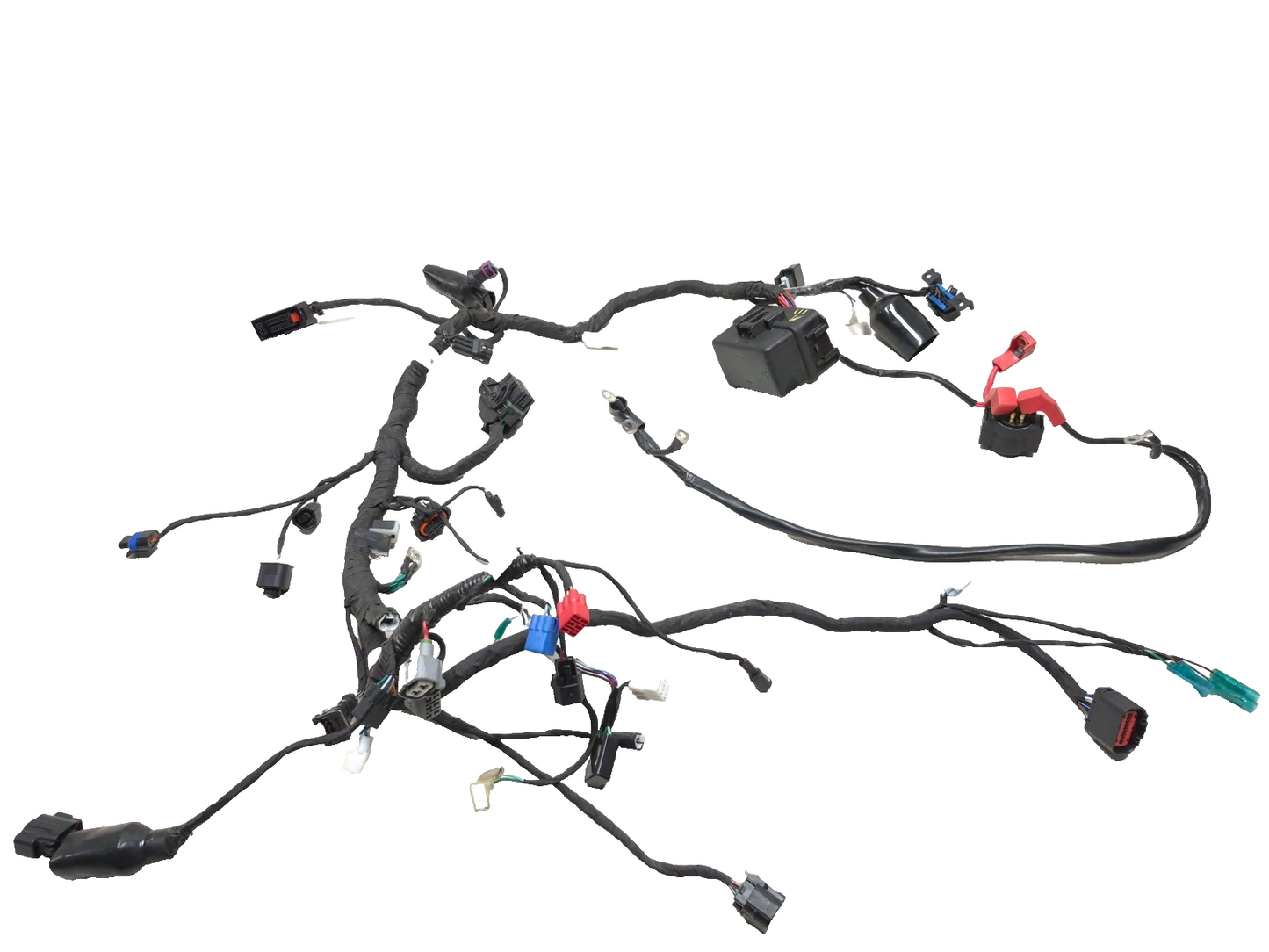 2023 Cf Moto Lifan 300ss Main Wiring Harness OEM