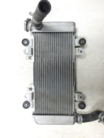 17-24 Kawasaki Kle300 Versys-x 300 Cooling Radiator 39061-0735