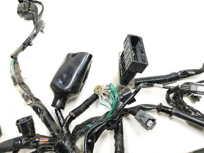 19 - 23 Honda Cbf300 Na Main Engine Wire Harness OEM