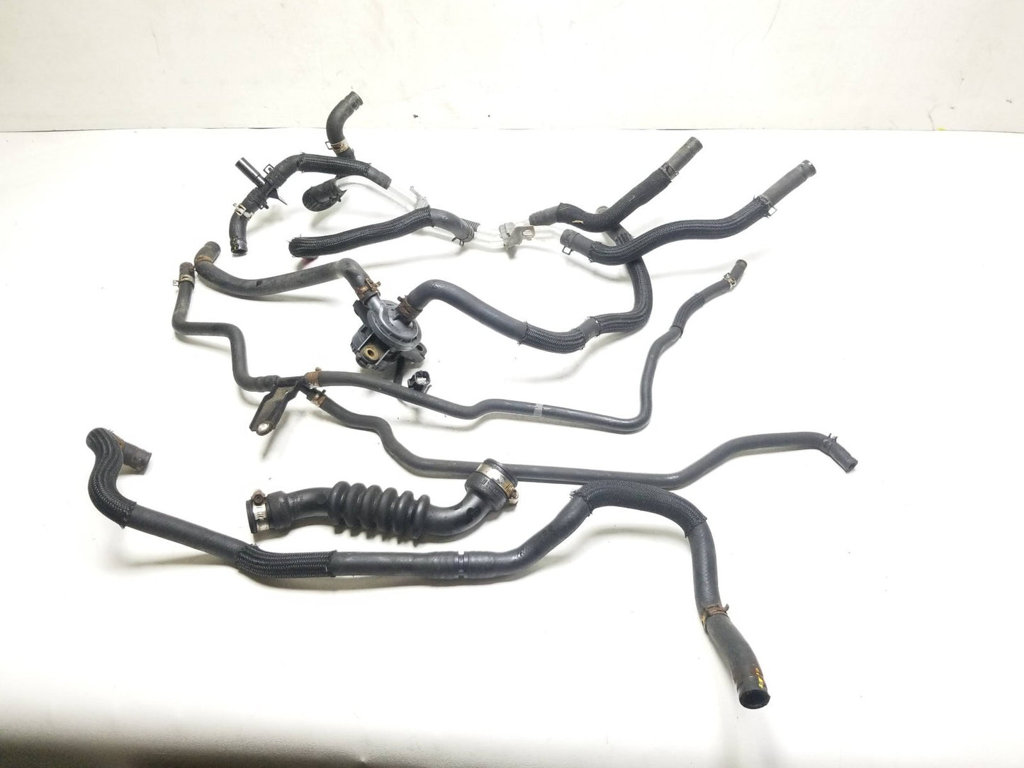 11-17 Lexus CT200h Coolant Hose Pipe Oem✅