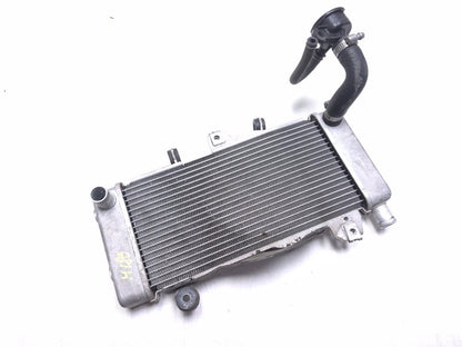 2020 Honda Cb300r Cbf300na Radiator OEM