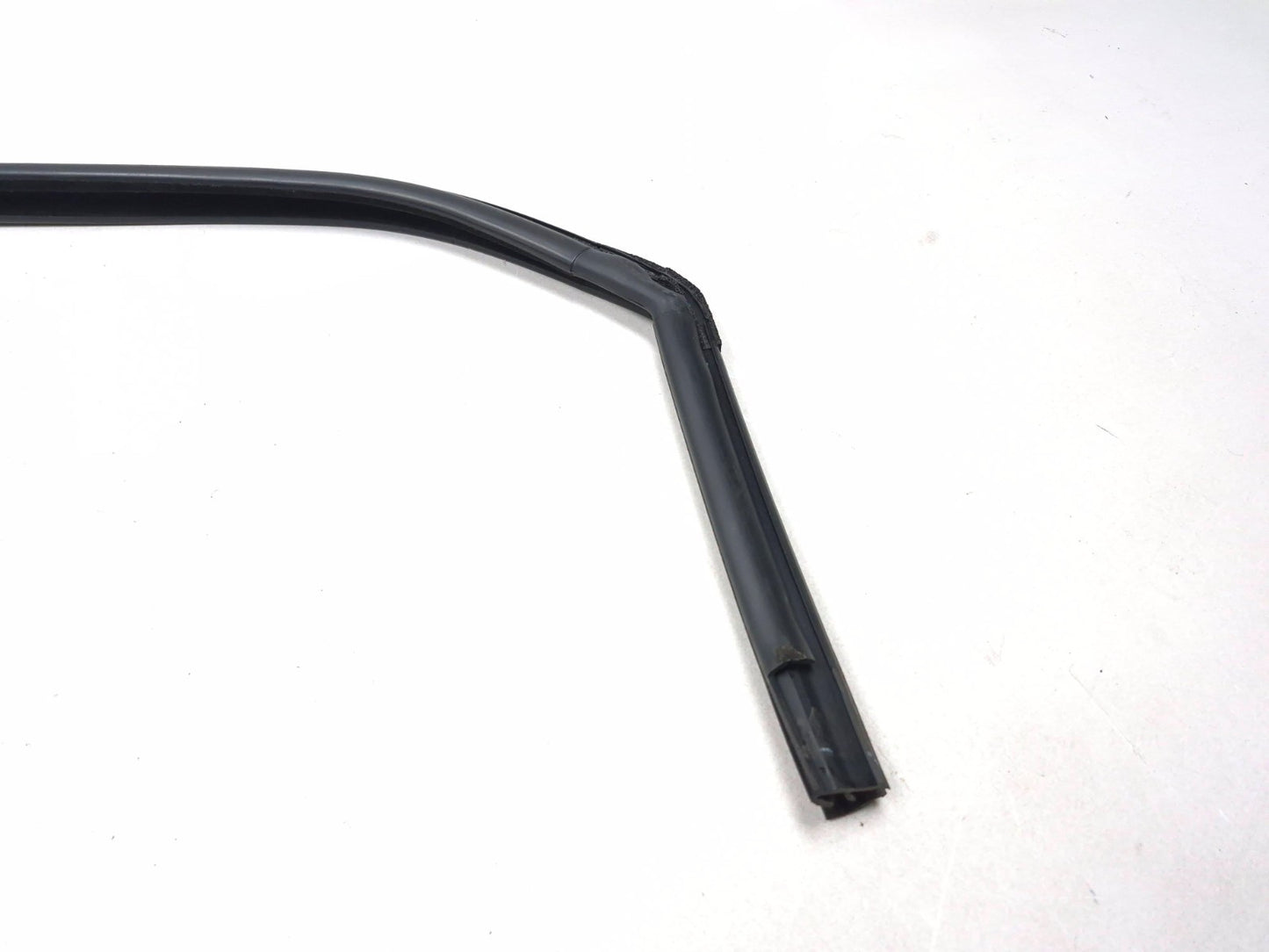 2019 Ford Ecosport Door Weatherstrip Rear Passenger Side Right OEM
