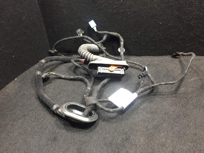 12 13 14 15 VW Passat Se Rear Right Passenger Side Door Wire Harness OEM