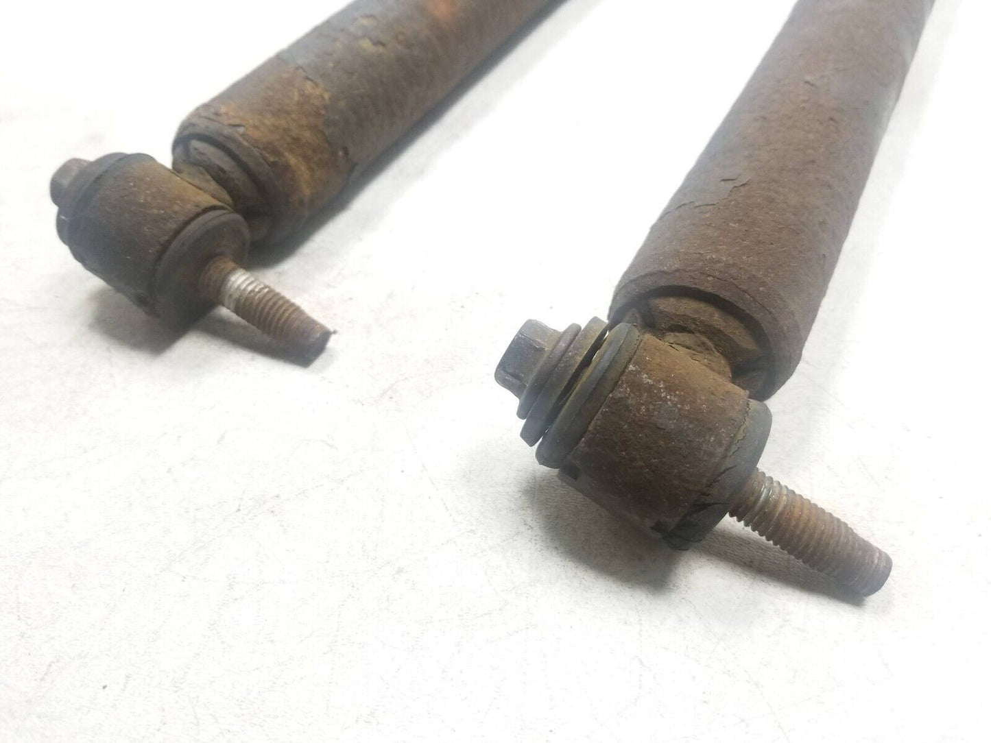12 - 14 Ford Focus Rear Shock Strut Absorber Pair OEM