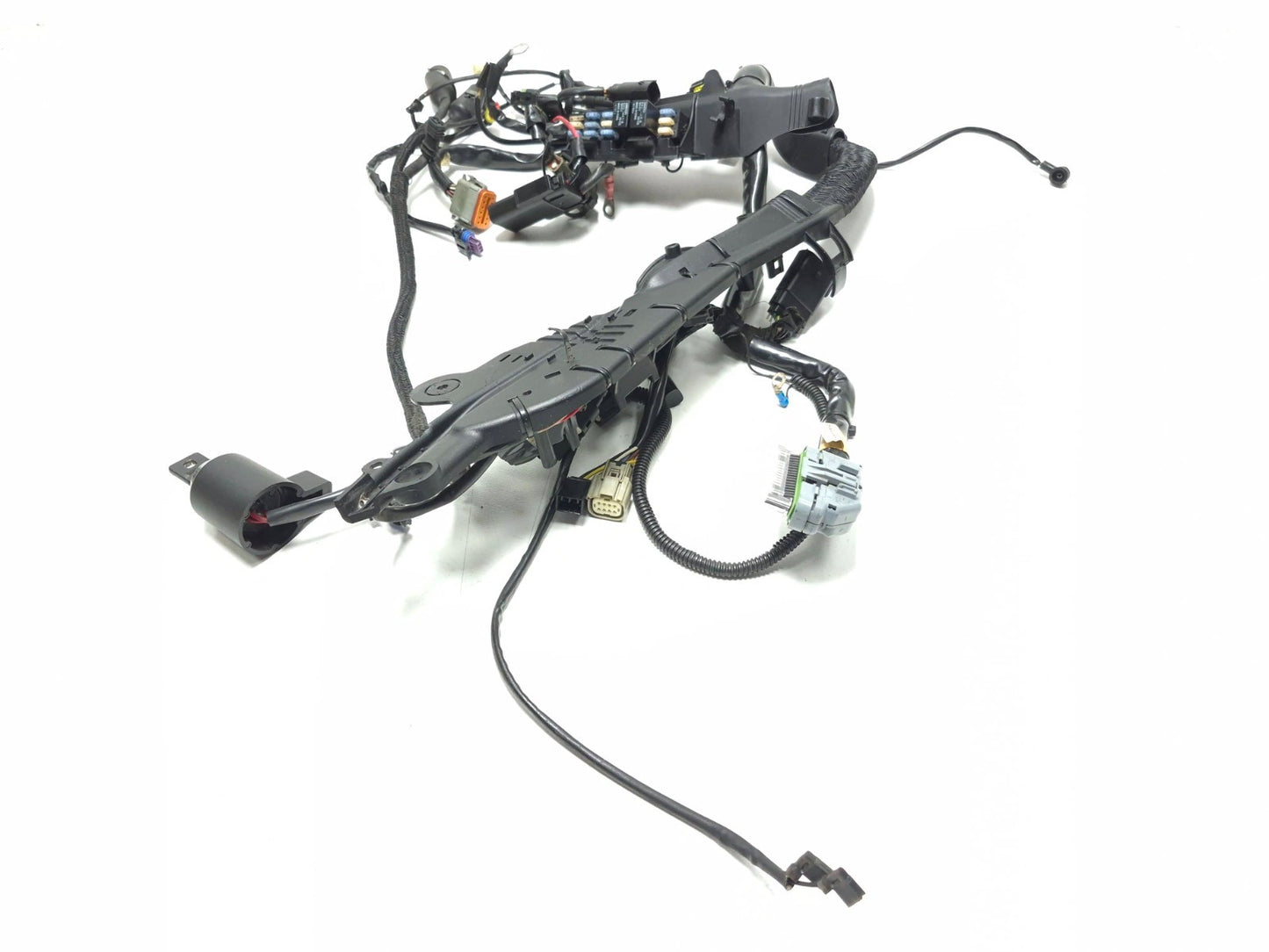 2009 Harley Sportster 883 1200 Xl Main Wire Harness 70162-09 OEM