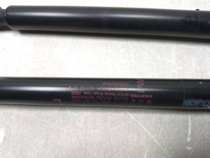 2013 Dodge Grand Caravan Liftgate Lift Shock Support Pair Oem✅