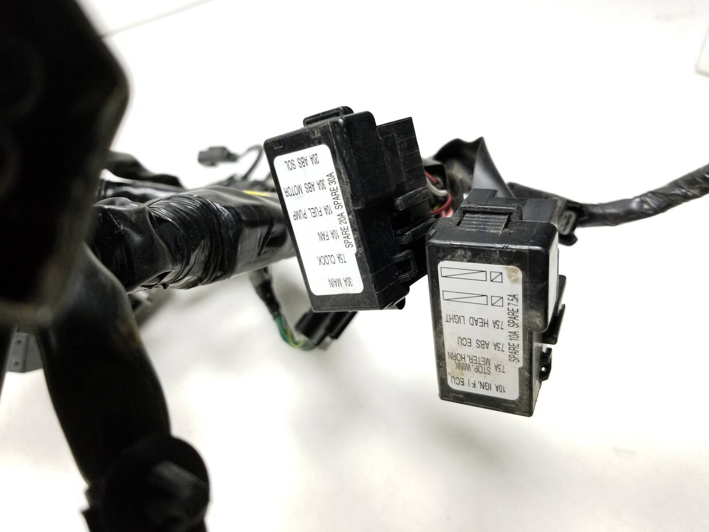 19 - 23 Honda Cbf300 Na Main Engine Wire Harness OEM