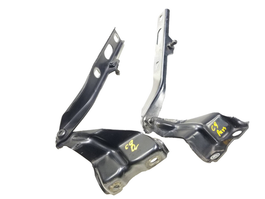 2009 - 2017 Audi Q5 Front Hood Bonnet Hinge Pair OEM