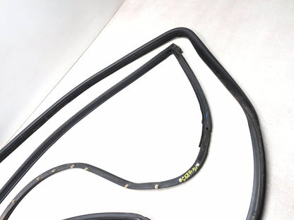 2018 Chrysler 300 Front Left Driver Door Weatherstrip Seal 3pcs OEM