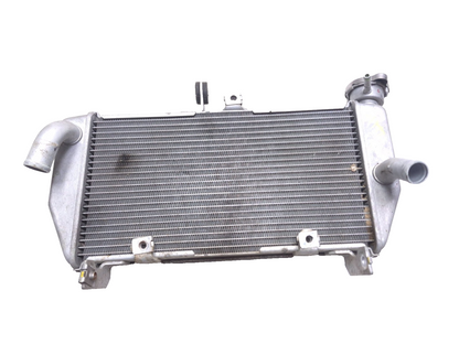 2016 Yamaha Yzf R3 Radiator OEM