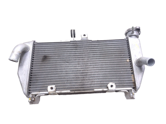 2016 Yamaha Yzf R3 Radiator OEM