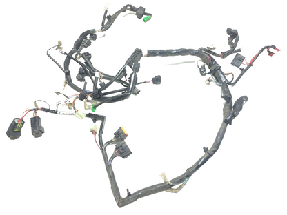 2015 Suzuki Gw250 Main Wire Harness Loom OEM