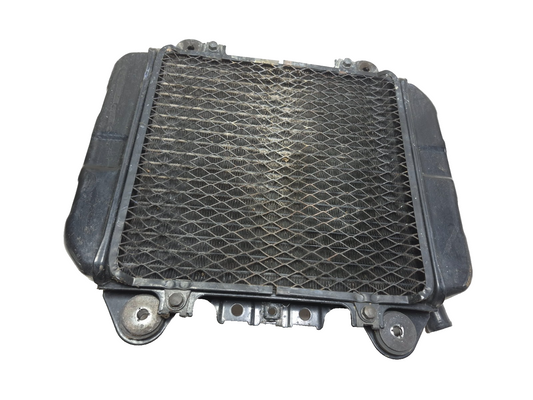 2006 Kawasaki Ninja 250 Ex250 Engine Cooling Radiator  OEM