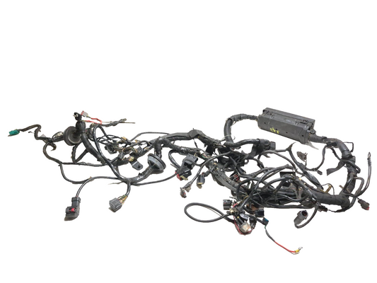 2008 Lincoln Navigator Engine Bay Wire Harness 5.4l V8 OEM