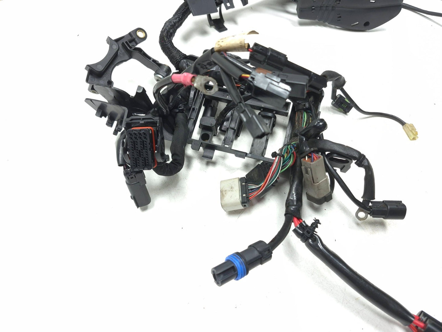 2014 - 2022 Harley Sportster 883 1200 Main Wire Harness *non Abs*