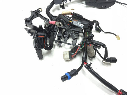2014 - 2022 Harley Sportster 883 1200 Main Wire Harness *non Abs*
