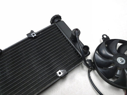2023 Csc Rx3 Rx4 Adventure Radiator & Radiator Fan Assy OEM