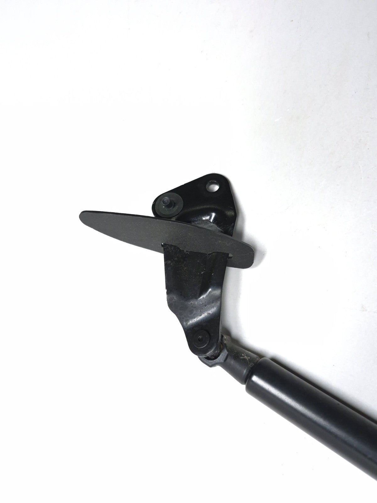 2011 Nissan Juke Trunk Lid Shock Strut Support Pair OEM