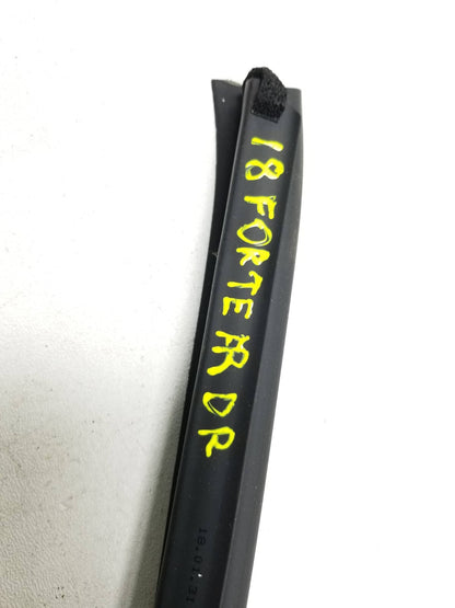2018 Kia Forte Door Weatherstrip Seal & Belt Front Driver Side Left OEM
