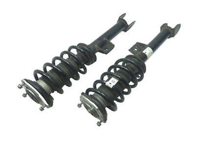 2019 Tesla Model 3 Front Shock Strut Absorber With Spring Pair OEM
