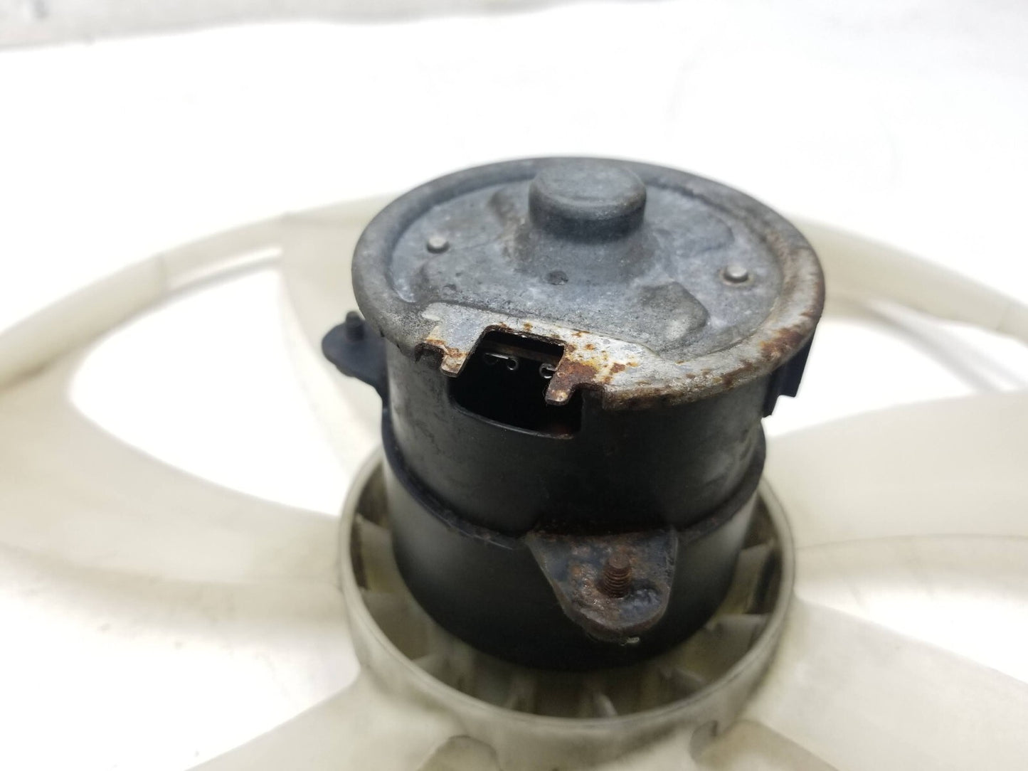 2007-2011 Toyota Camry Cooling Fan Motor Left & Right OEM