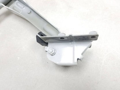 2012 Volkswagen Cc Trunk Lid Hinge Left & Right OEM
