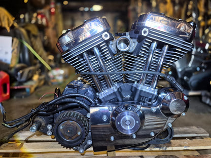 2004-2006 Harley Sportster 1200 Xl1200c Engine Motor Only 6k Miles OEM Evo