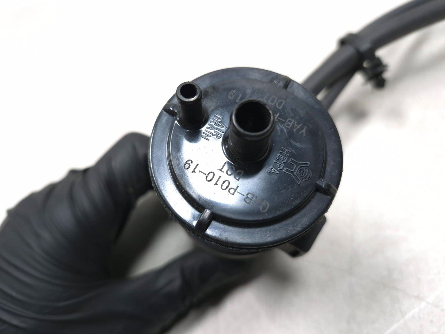 2025 Qiax Fy200t34/tank 200 Evap Charcoal Canister OEM