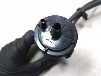 2025 Qiax Fy200t34/tank 200 Evap Charcoal Canister OEM
