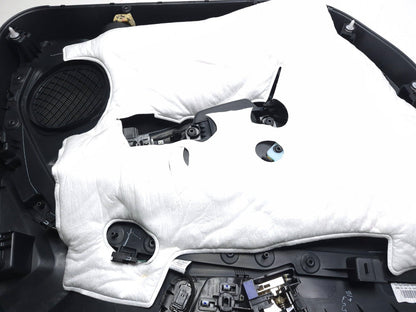 2019 Ford Ecosport Door Panel Trim Front Passenger Side Right OEM