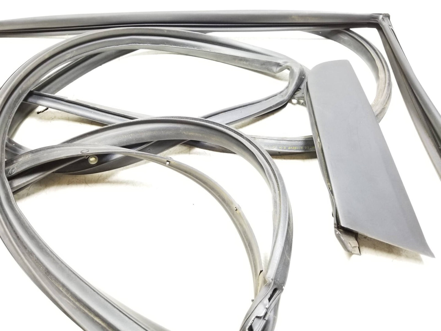 2007 - 2012 Nissan Sentra Door Weatherstrip Seal & Belt Rear Passenger Side OEM