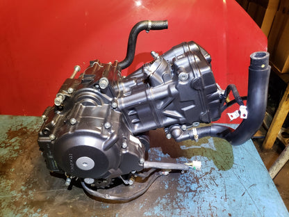 2024 Honda Cbf300 Cb300 Engine OEM 264 Miles!