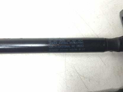 2019 Tesla Model 3 Hood Shock Strut Left & Right OEM