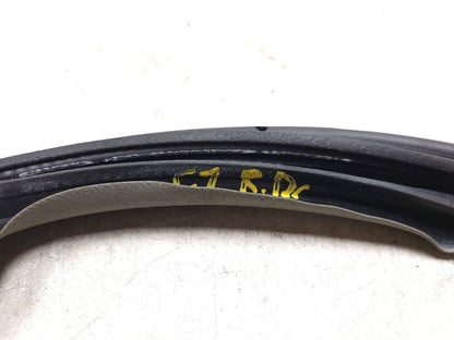 2007 - 2009 Acura Mdx Rear Door Weatherstrip Seal Driver Side Left OEM