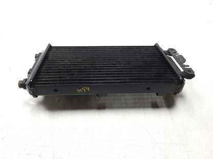 14 - 20 Harley Xg750 Street 750 Radiator Coolant   OEM