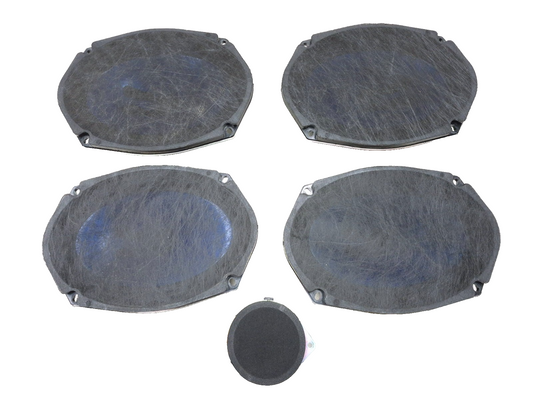 2018 Chrysler 300 Door Audio Speaker 5pcs OEM