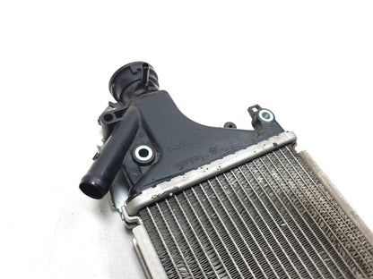 2021 - 2023 Honda Pcx150 Ww150 Engine Coolant Radiator OEM