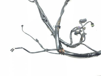 2002 Harley Davidson Touring Road King Main Wire Harness OEM