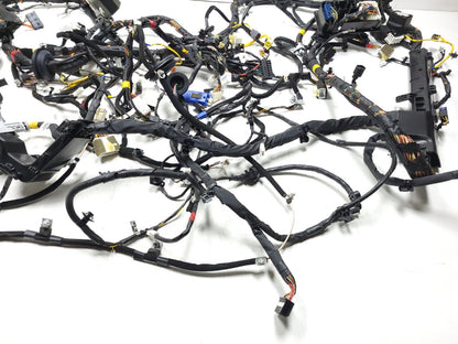 09-14 Hyundai Genesis Interior Wire Harness 4.6l OEM Sedan