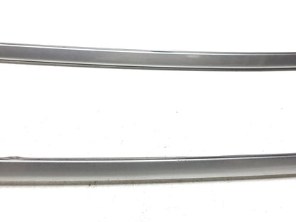 09-14 Hyundai Genesis Roof Molding Trim Left & Right Pair OEM Sedan